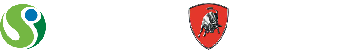 Brigade Icon